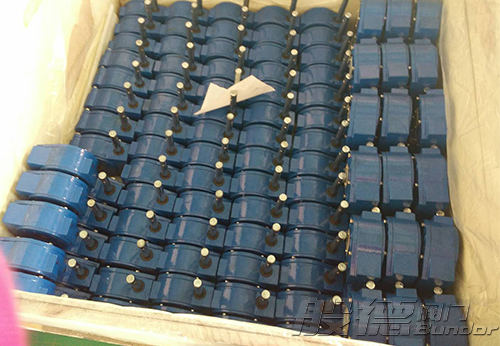 越南某公司采购般德蝶阀产品